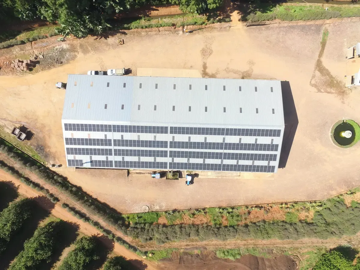 Bâtiment d'activité à toiture photovoltaïque, vu du ciel