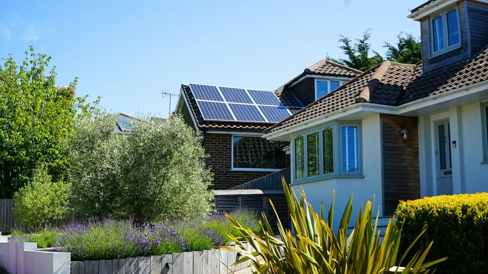 Une maison individuelle au toit de tuiles brunes équipé de panneaux solaires, avec un olivier et de la lavande au premier plan